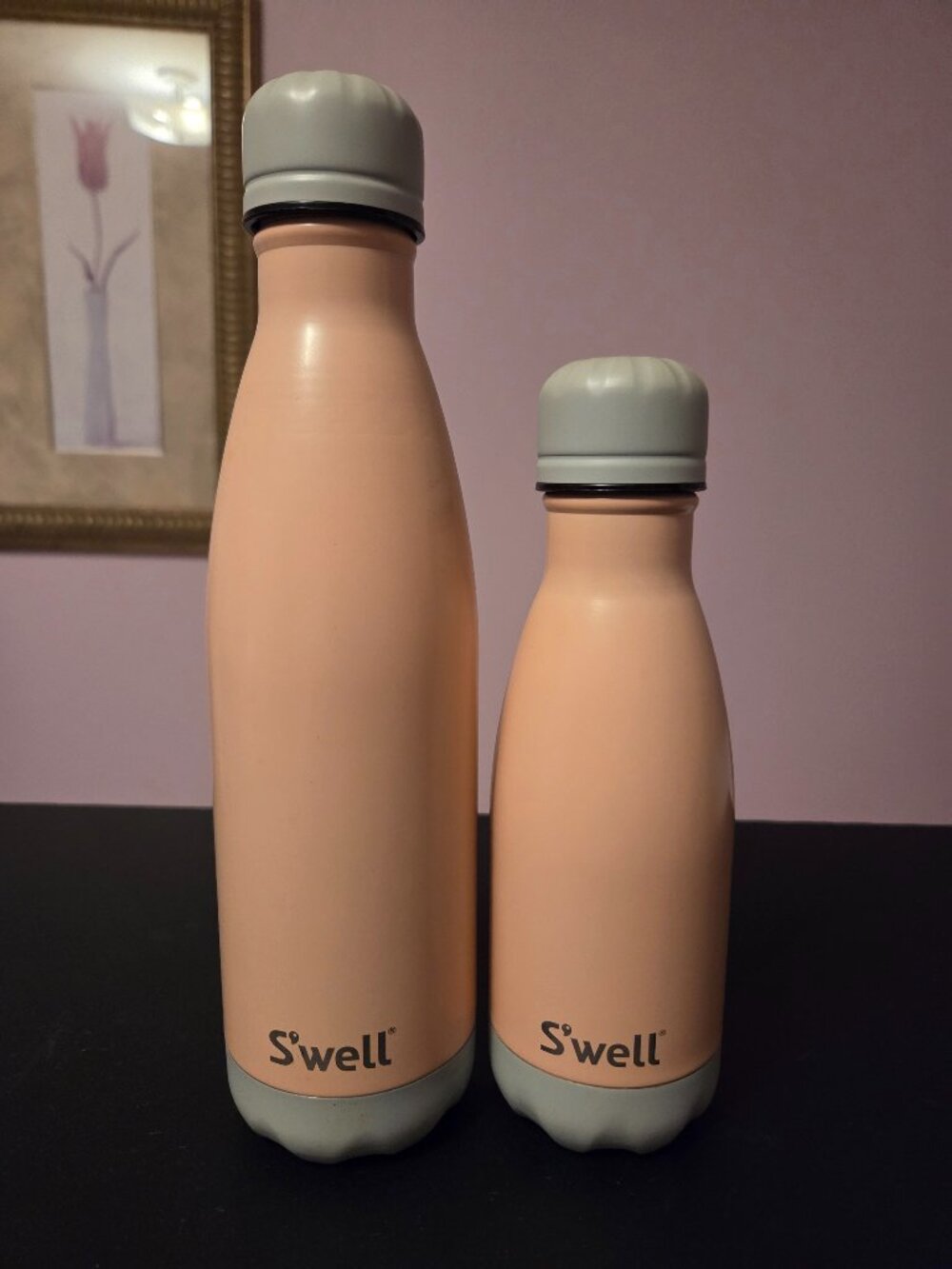 S'well Bottles